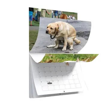 Забавный настенный календарь с какающей собакой на 2024 год Уникальный Календарь Подарок для друзей Семьи соседей коллег Родственников Любимых